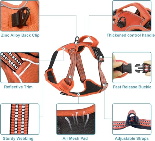 Dog Harness for Medium Sized Dog with Leash (Orange / M)