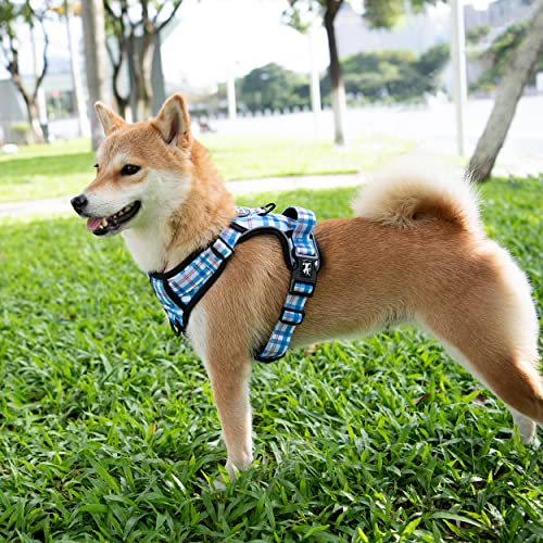 Plaid Dog Harness Small (S / Checkered Blue & Red)