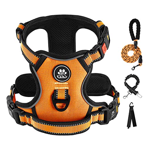 No Pull Dog Harness for Small Dogs (Orange / Small)