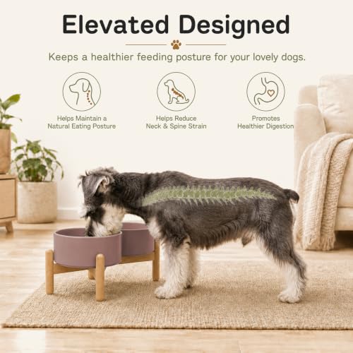 Ceramic Dog Bowls Elevated (Brown Coffee)