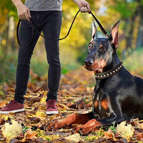 Leather Dog Leash (6 ft x 1 inch / Brown)