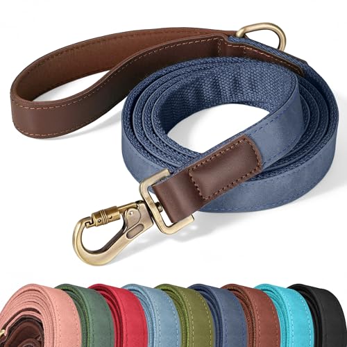 PU Leather Dog Leash for Large Dogs (Blue / 1"x 6FT)