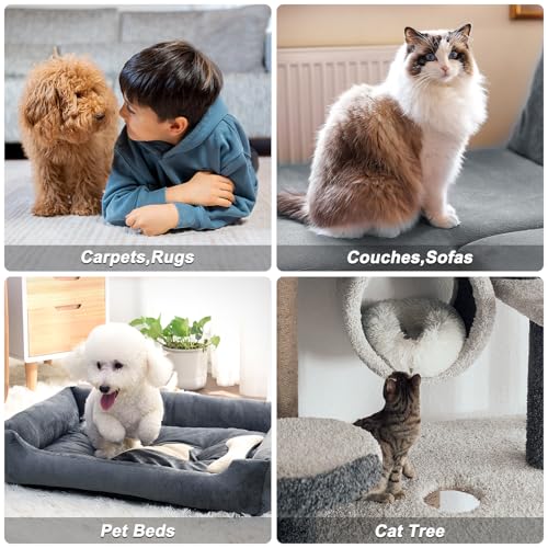 Carpet Rake for Pet Hair Removal (Gray)