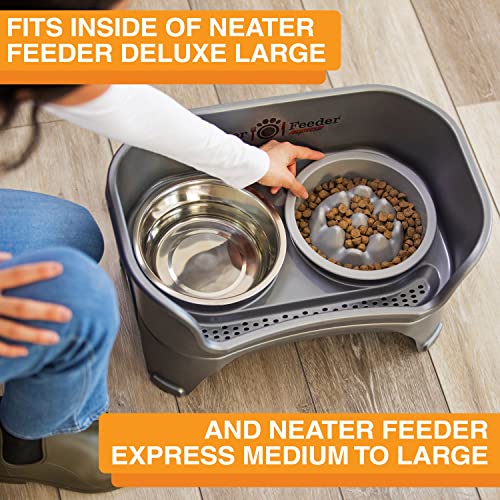 The Niner Slow Feed Bowl (Silver / 2 Cup)