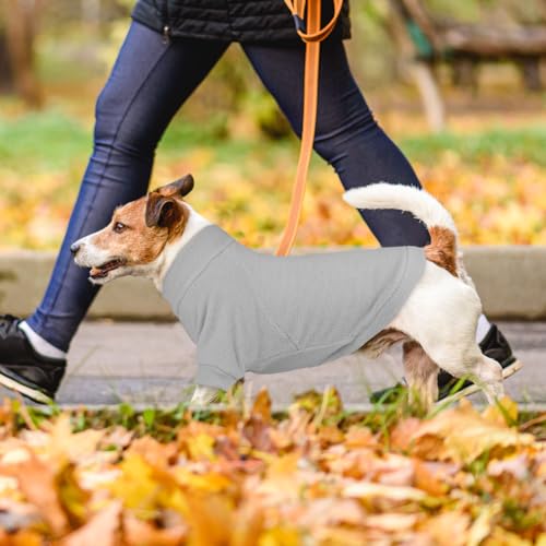 3 Pack Dog Sweaters for Medium Dogs (Medium / Gray Blue Coffee)