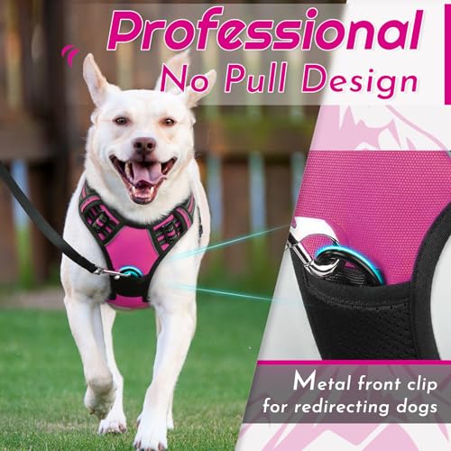 Dog Harness for Medium Sized Dogs (Medium / Rose Red)