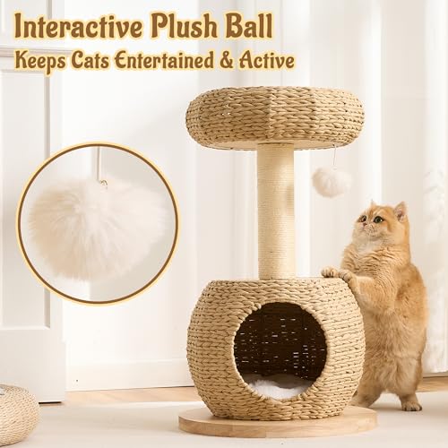 Modern Cat Tree for Indoor Small & Medium Cats (Natural-30")