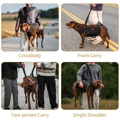 Full Body Dog Carry Sling for Large Dogs (Black / XXL)