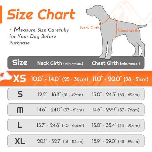 Dog Harness for Small Dogs (X-Small / Orange)