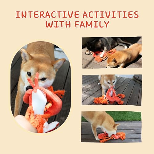 Squeaky Dog Toys (Scarf Lobster)