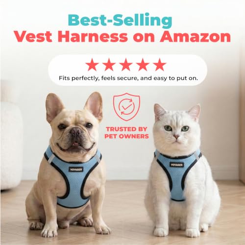 Voyager Step in Air Dog Vest Harness (Baby Blue/Black Trim / XXS (Chest: 12 - 13.5"))