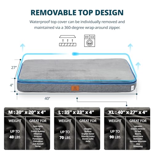 Memory Foam XL Dog Bed (41.0"L x 27.0"W x 4.0"Th / Dark Grey)