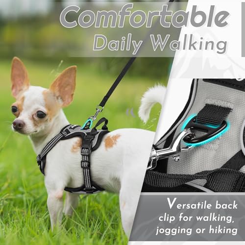 Dog Harness for Small Dogs (X-Small / Grey)