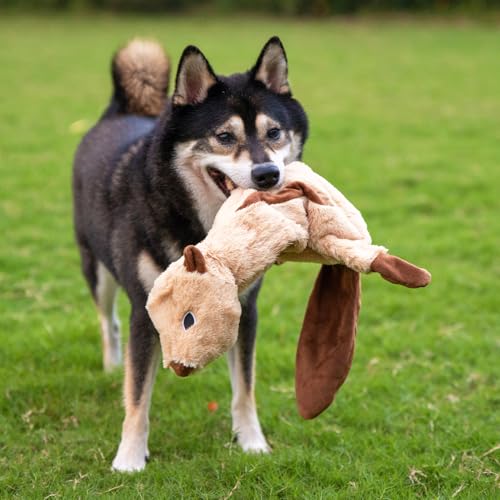 2-in-1 Stuffless Squeaky Dog Toy - Monkey,&Squirrel, M (Multicolor/Monkey & Squirrel / Medium)