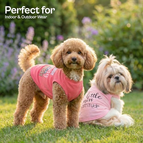 2 Pack Dog Shirts (S(5-8lbs))