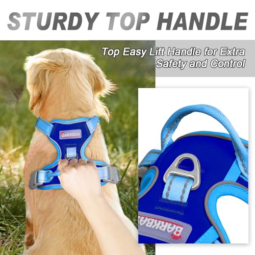 Dog Harness No Pull for Small Sized Dog Front Back Clips (Small(Chest:19.5-26") / Sapphire Blue & Blue)