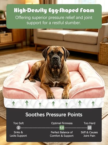 Orthopedic Dog Bed with Sides (53.0"L x 42.0"W x 8.0"Th / Pink)
