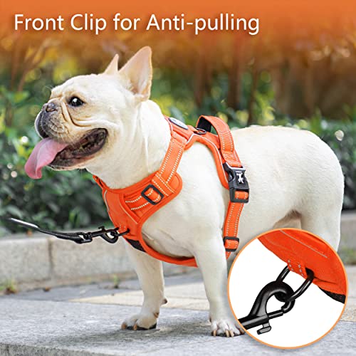 No Pull Dog Harness (XS / Orange(Matching Trim))