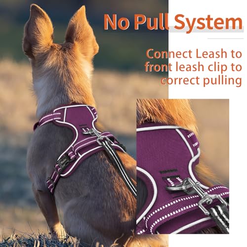 Dog Harness for Small Dogs No Pull Dog Vest Harness for Small Dog with Soft Padded Handle Reflective for Outdoor Training (S / Purple(Matching Trim))