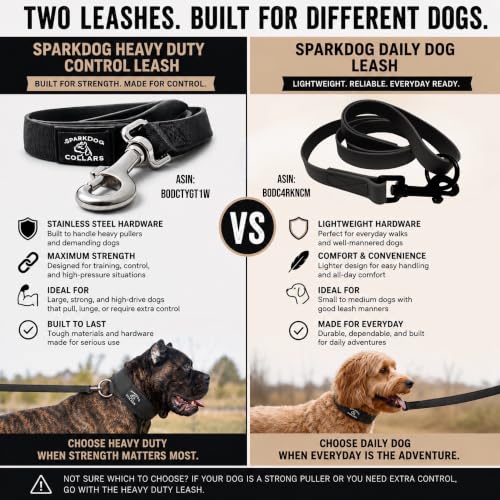 SparkDog Daily Dog Training Leash (Daily-Black / L 4' * W 3/4")