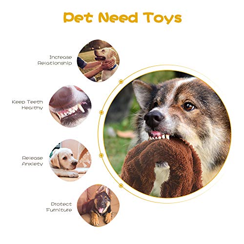 Dog Squeaky Chew Toys No Stuffing Soft Plush for Small Medium Large Breed (5 Pack)