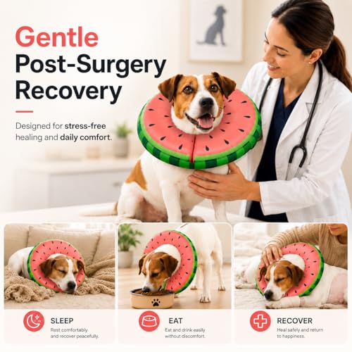 Inflatable Dog Cone After Surgery (Watermelon / M(12"-15"))