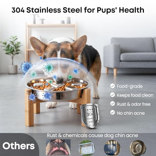Elevated Slow Feeder Dog Bowls 2 Cups for 15