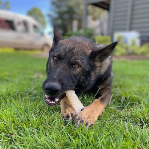 Power Chew Textured Knuckle Bone Dog Chew Toys (X-Large)