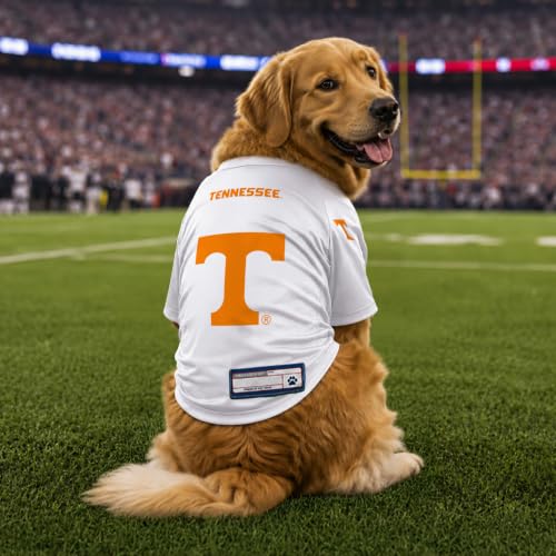 NCAA Tennessee Volunteers Stretch Pet Jersey (Tennessee Volunteers / Medium)
