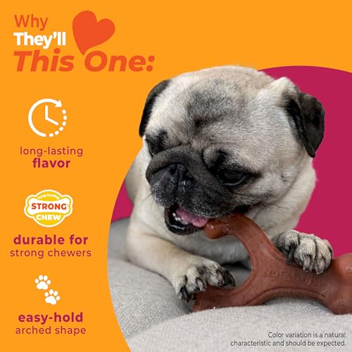 Strong Chew Wishbone Dog Toy (Wishbone / Small)