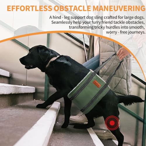 Dog Lift Harness for Large Dogs (Large (Pack of 1) / Army green)