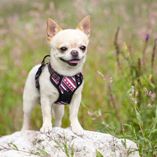 Dog Harness No Pull for Small Dogs with 2 Leash Clips (X-Small / Red Stripe)