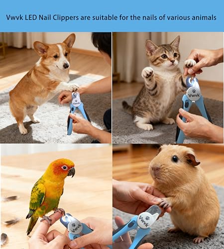 Dog Nail Clippers with Light (Nail Clipper & Brush (Best Value))