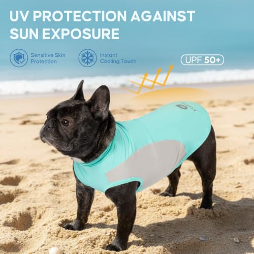 2Pack Dog Cooling Shirt with UPF 50+ UV Protection (Small (4-7lbs) / Blue)
