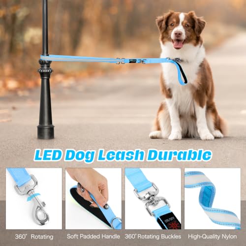 Light Up Dog Leash (Blue / 6FT)