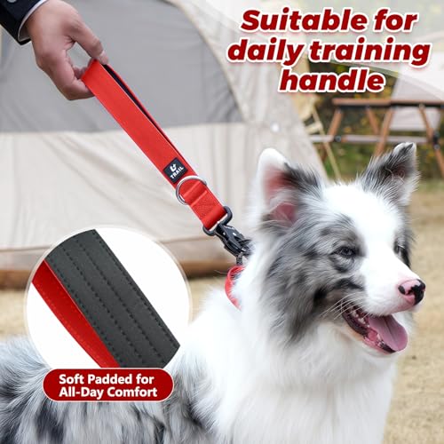 14 Inch Traffic Dog Leash with Padded Handle (Red)