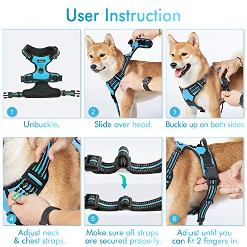 Dog Harness No Pull Medium Sized with 2 Leash Clips (Medium / Blue)