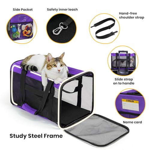 Cat Carrier Bag (M / Purple)