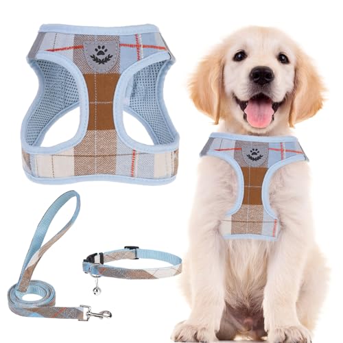 Dog Harness Collar and Leash Set No Pull for Small Medium Sized (Light Blue / M (CHEST 16"-18"))