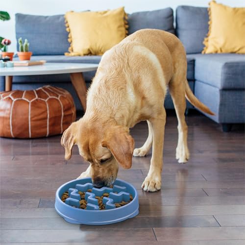Fun Feeder Slo Bowl (Blue / Large)