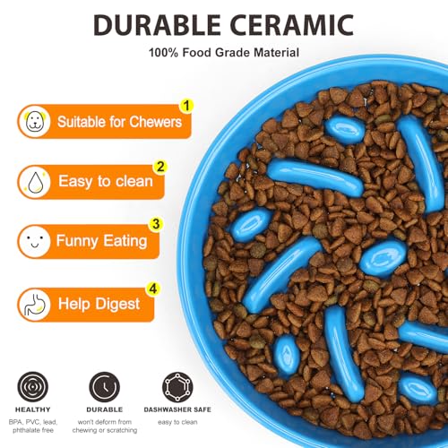 Ceramic Slow Feeder Dog Bowl (Maze - Blue / 2 Cups)