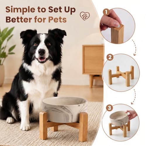 Elevated Ceramic Dog Bowl with Bamboo Stand (Marble Brown / 7.6Cup)
