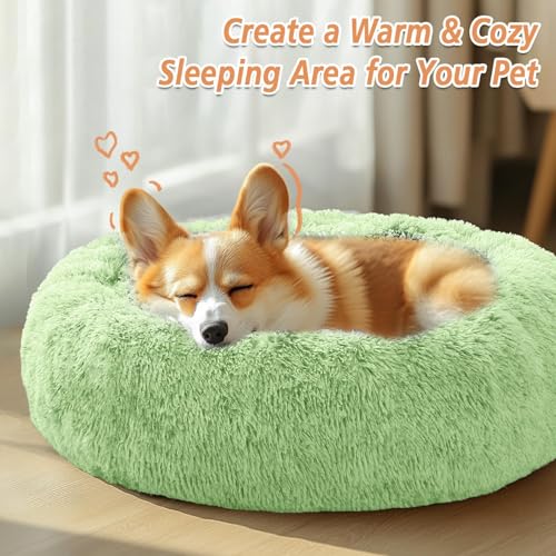 Calming Dog Bed Medium Size Dog (Light Green / 31.0"L x 31.0"W x 8.0"Th)
