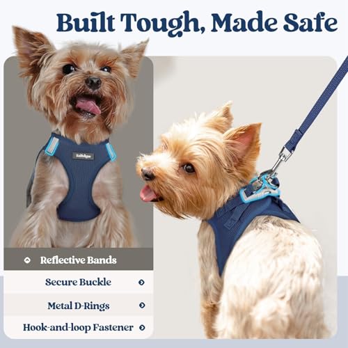 Dog Harness Small Sized and Leash Set (Navy Blue / Xs (chest: 13.3 - 15.5"))