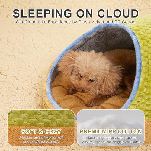 Cute Cat Beds for Indoor Cats (Large / Green)