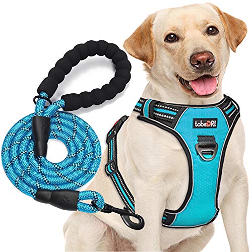No Pull Dog Harness Adjustable Reflective Oxford Easy Control Medium Large Dog Harness with A Free Heavy Duty 5ft Dog Leash (Blue / Small)