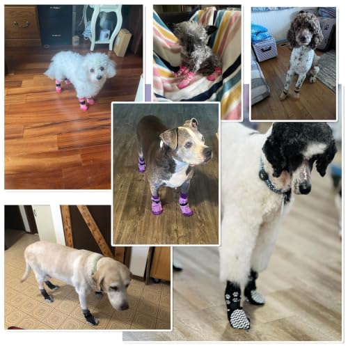 Anti Slip Dog Socks to Prevent Licking Paws for Hot Pavement (Grey / X-Small)
