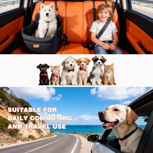 Dog Car Seat for Small Dogs Up to 30 lbs with Safety Tether (Black / M)