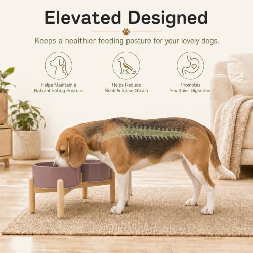 Ceramic Dog Bowls Elevated (Brown Coffee)