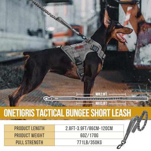 Tactical Bungee Leash with 2 Handles Quick Release (Grey / 85cm-118cm/33.5in-46.5in)